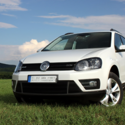 download Volkswagen CrossGolf workshop manual