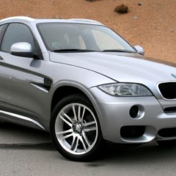 download BMW X6 workshop manual