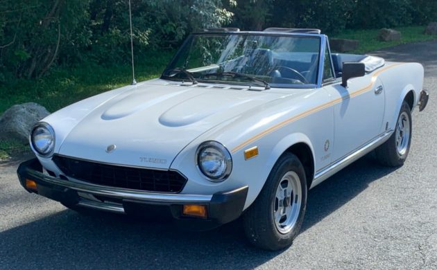 download Fiat 124 Spider able workshop manual