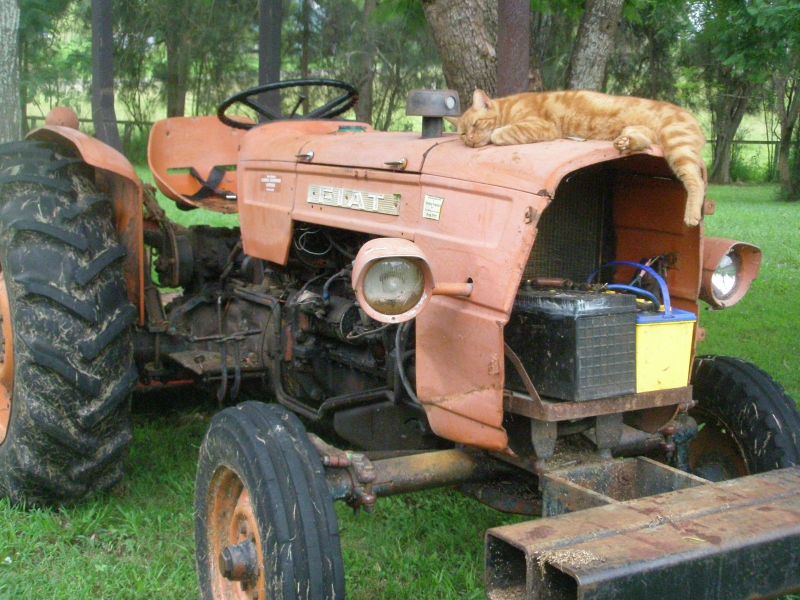 download Fiat tractor 415 workshop manual