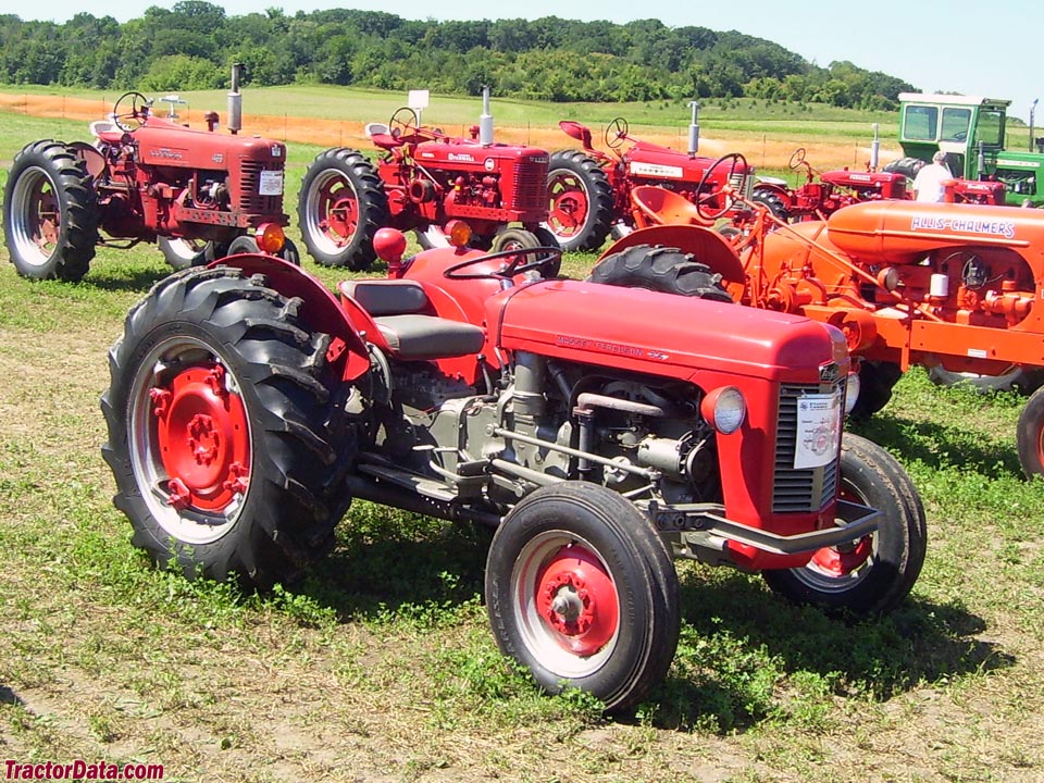 download Massey Ferguson MF35 tractor workshop manual