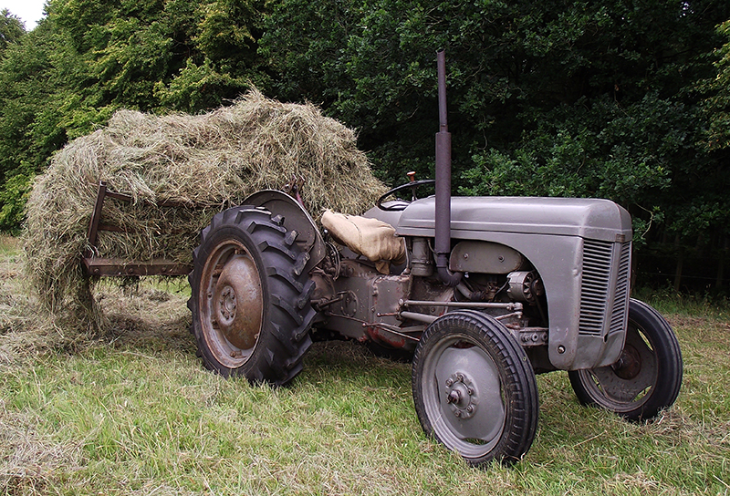 download Massey Ferguson TE 20 tractor workshop manual